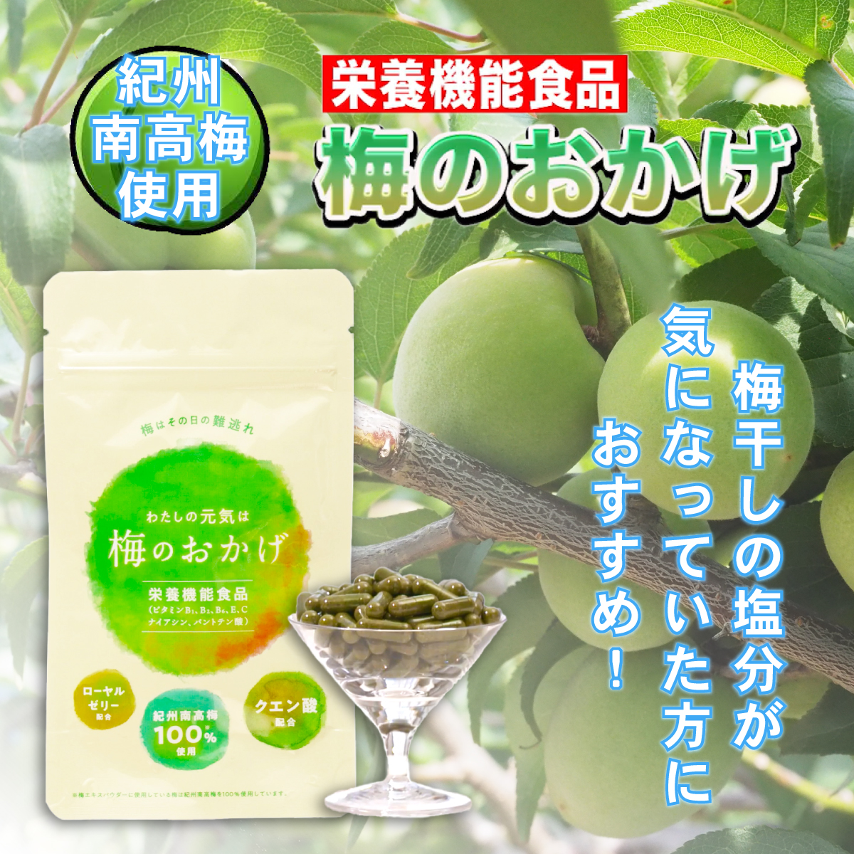 【セール】梅のおかげ 60粒入り (約1か月分) 栄養機能食品 サプリメント (賞味期限2024年8月31日)