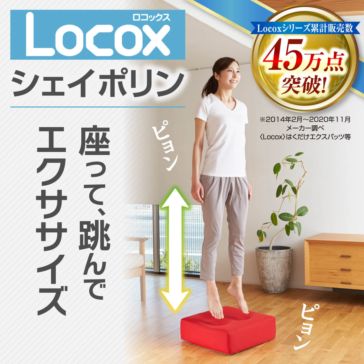 Locox ロコックス シェイポリン 本体(レッドカバー付) ・ブラウンカバー付