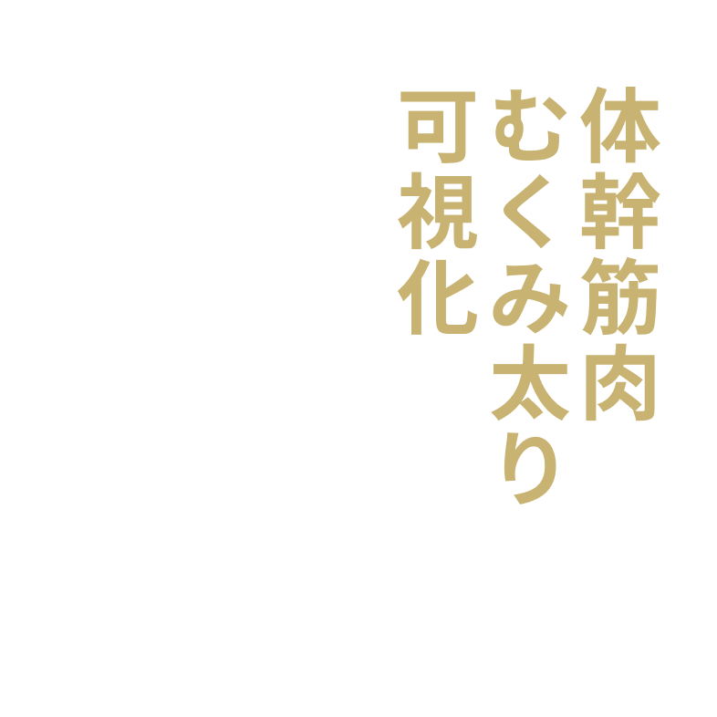体幹筋肉とむくみ太りの可視化
