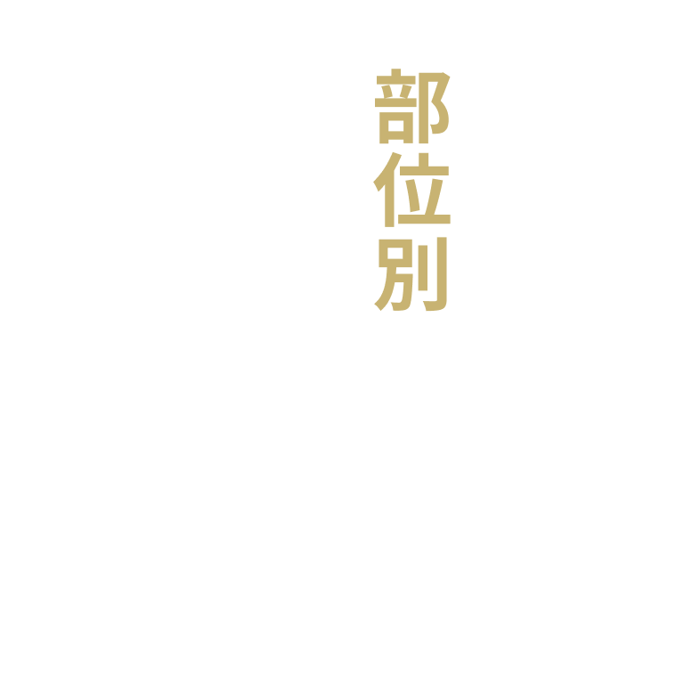 効率最大化をめざした 部位別トレーニング