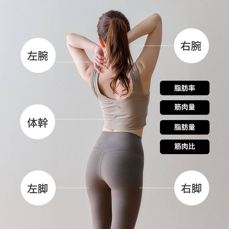 脂肪率 筋肉量 脂肪量 筋肉比