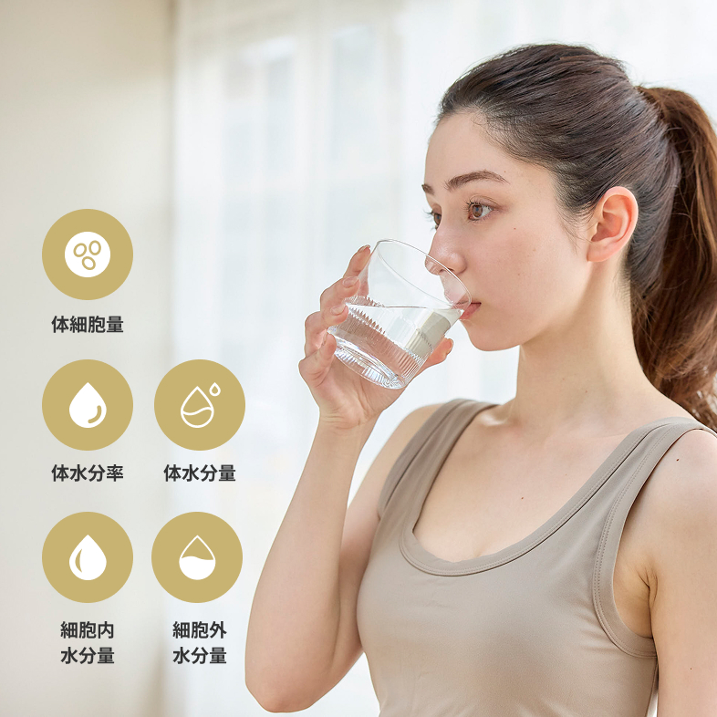 体細胞量 体水分率 体水分量 細胞内水分量 細胞外水分量