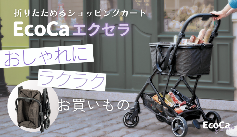 エコカエクセラ