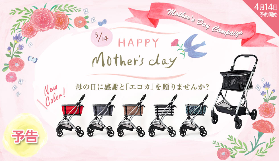 エコカ　ボタン