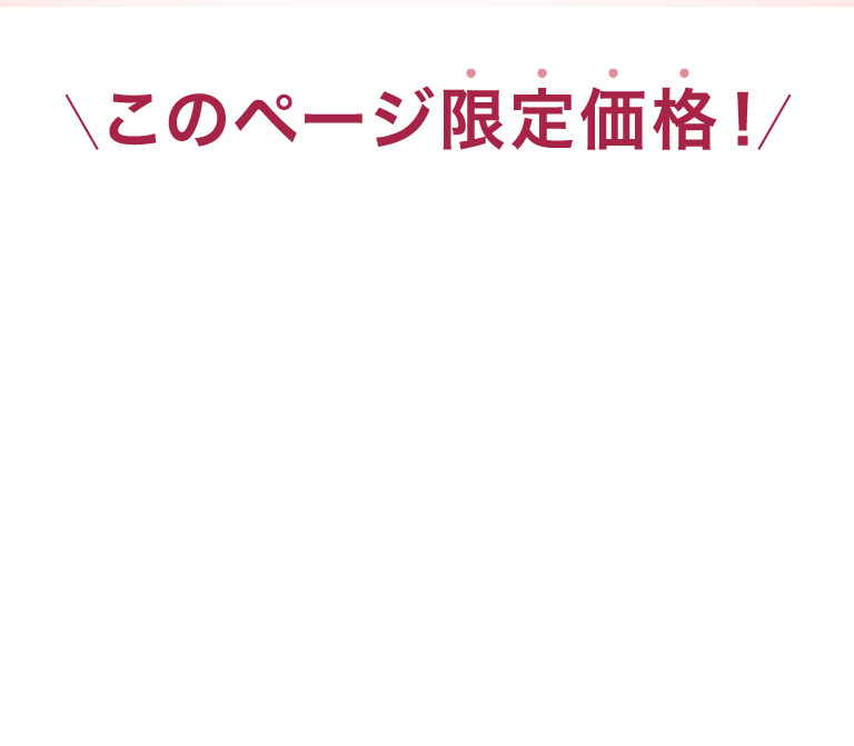 このページ限定価格！保冷バッグ１点標準装備 Ecoca Excella 28,800円