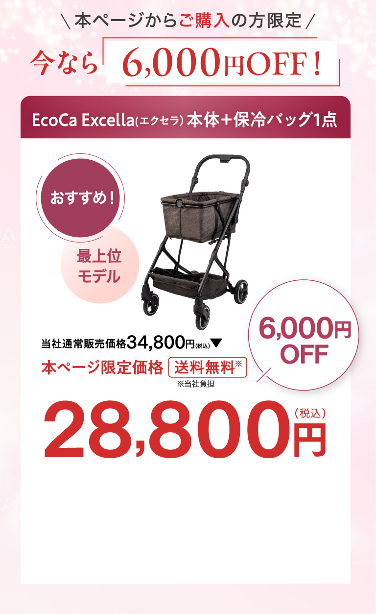 本ページからご購入の方限定 今なら6,000円OFF！ Ecoca Excella(エクセラ）本体＋保冷バッグ１点 28,800円