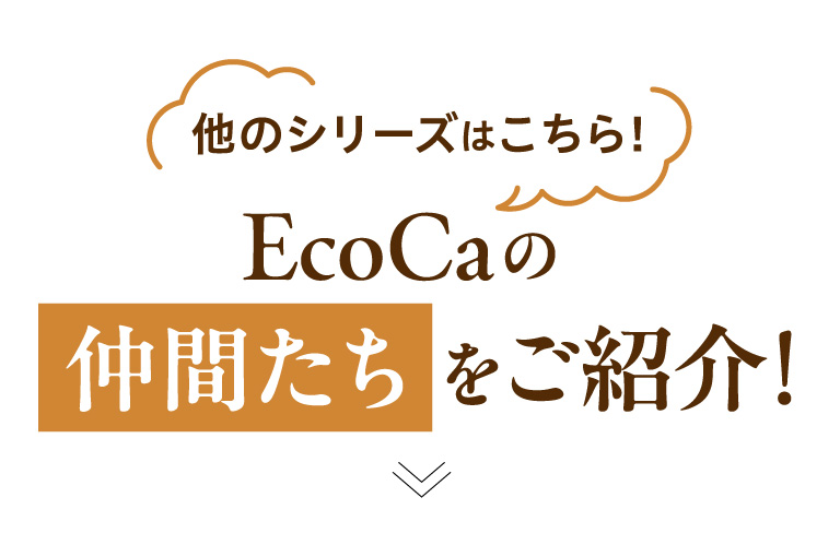 他のシリーズはこちら！EcoCaの仲間たちをご紹介！