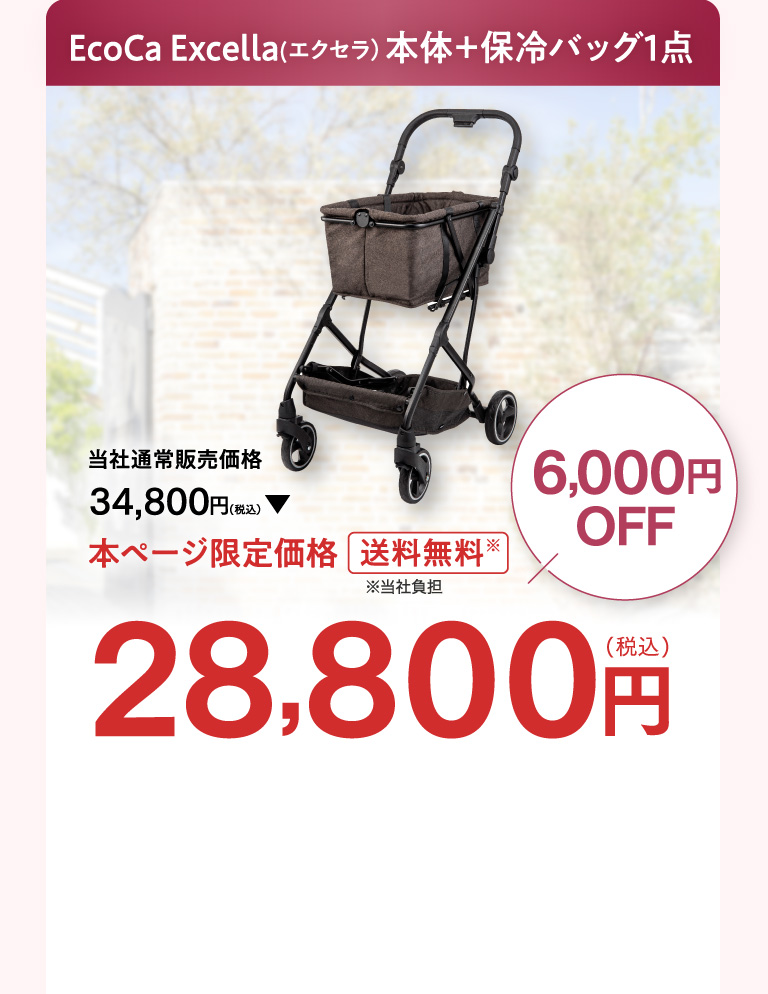 そんなEcoca Excellaがお得な価格に！Ecoca Excella［本体＋保冷バッグ１点］28,800円