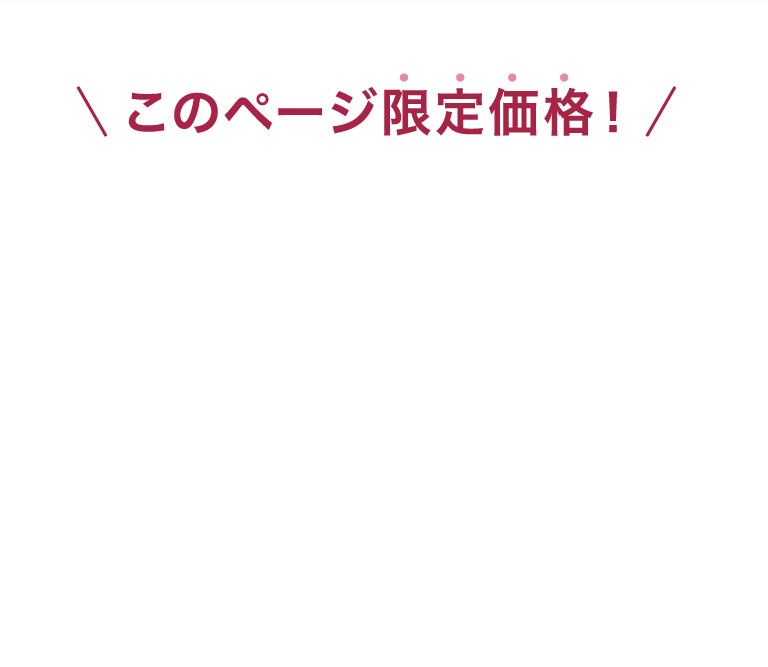 このページ限定価格！