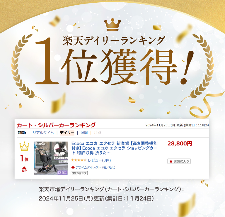 楽天デイリーランキング1位獲得！