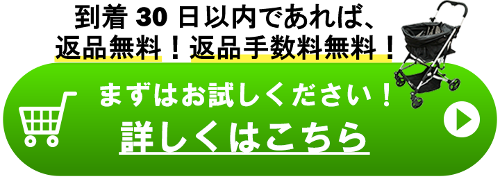 エコカ　ボタン
