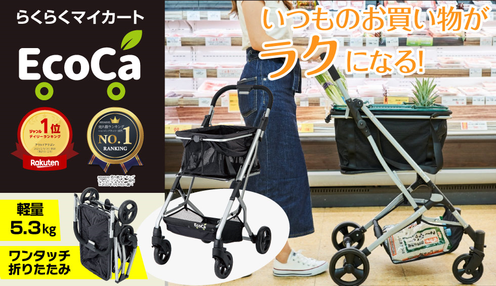 エコカイメージ画像