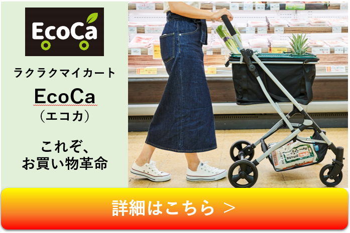 エコカ　詳細はこちら