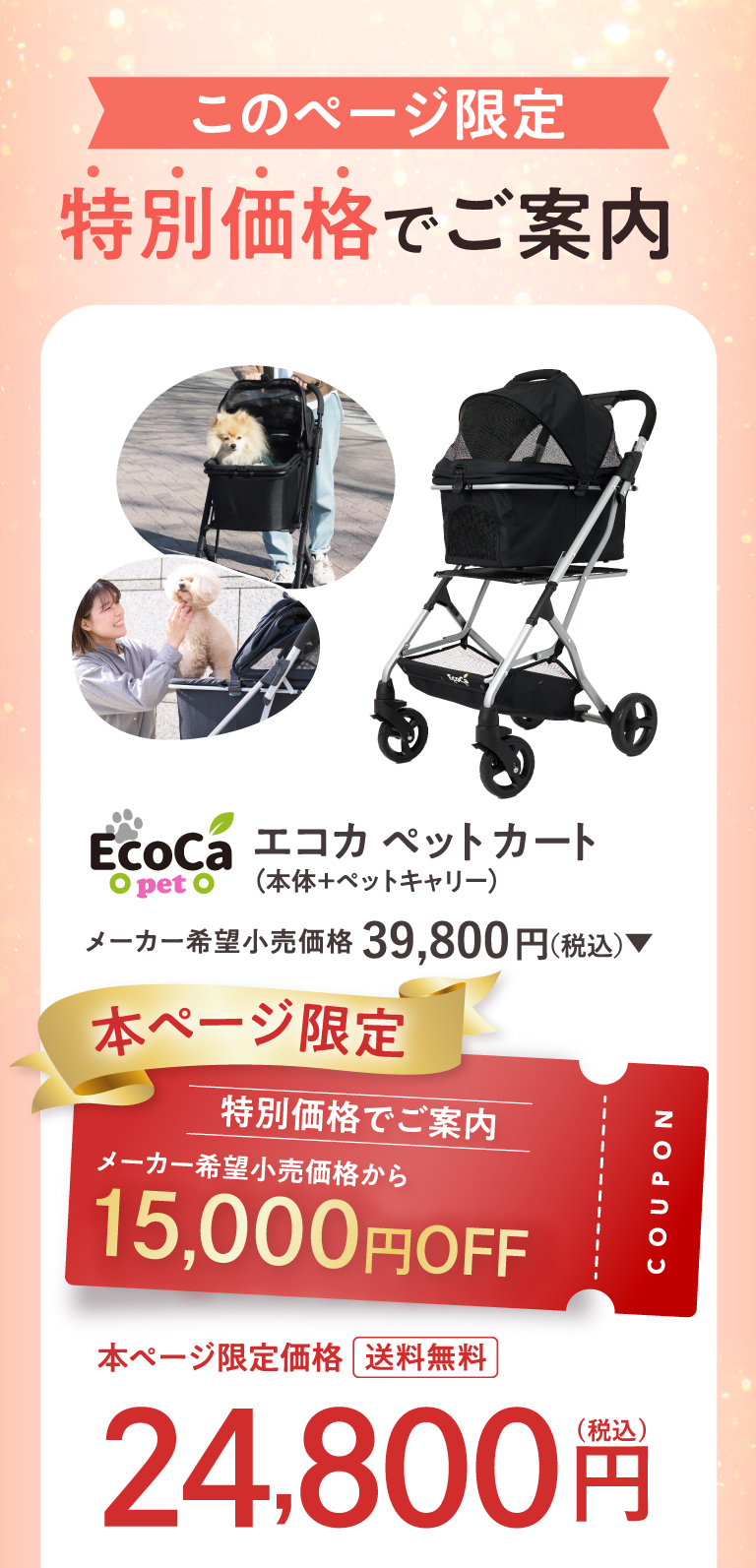 このページ限定特別価格でご案内