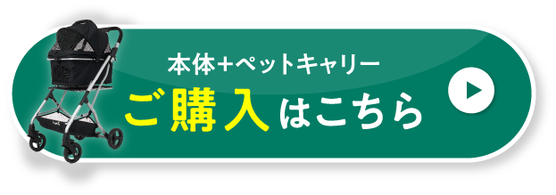 今すぐ購入