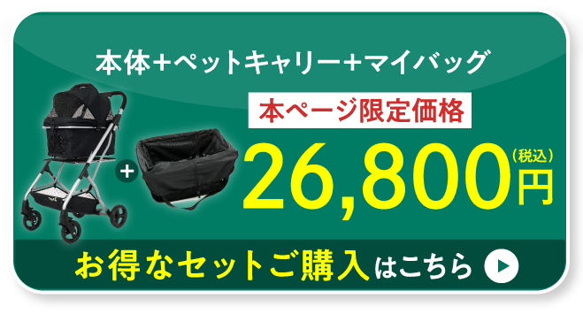 今すぐ購入