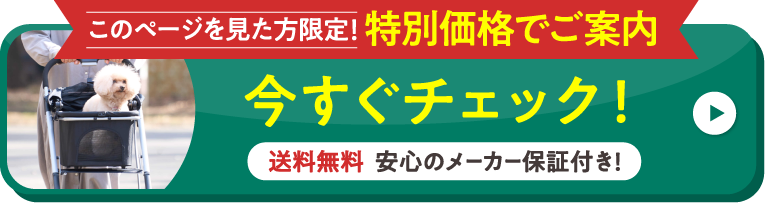 今すぐチェック！