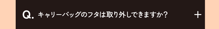 キャリーバッグのフタは取り外しできますか？