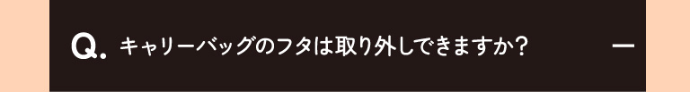 キャリーバッグのフタは取り外しできますか？