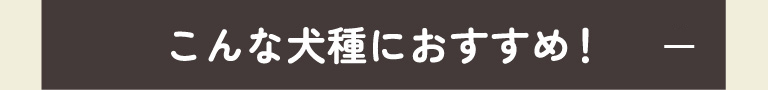 こんな犬種におすすめ！