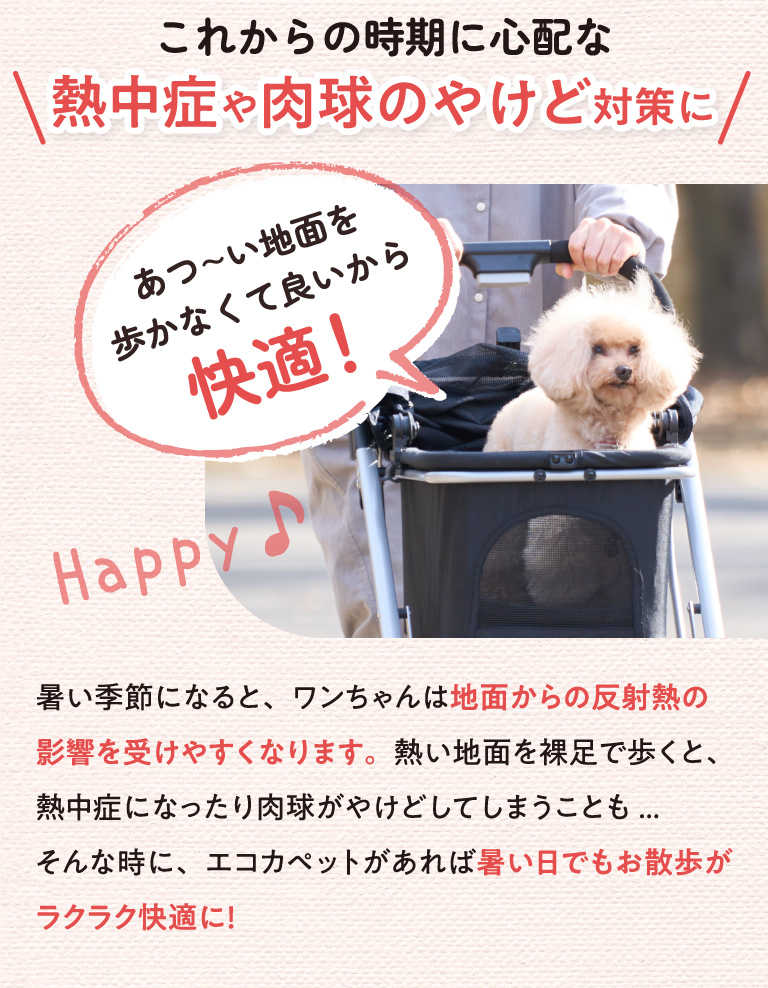 これからの時期に心配な肉球のやけども防げる