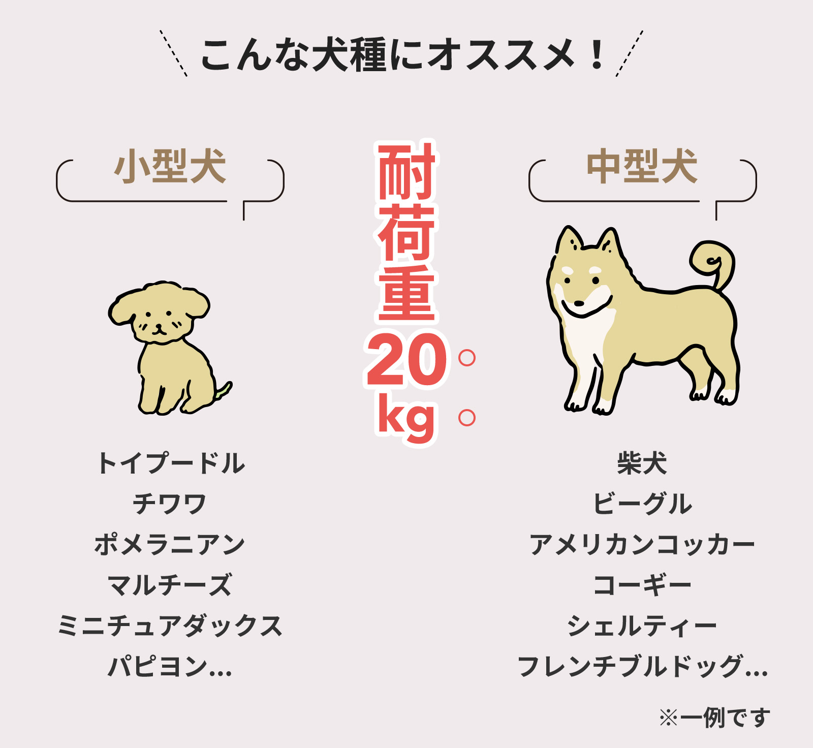 こんな犬種にオススメ