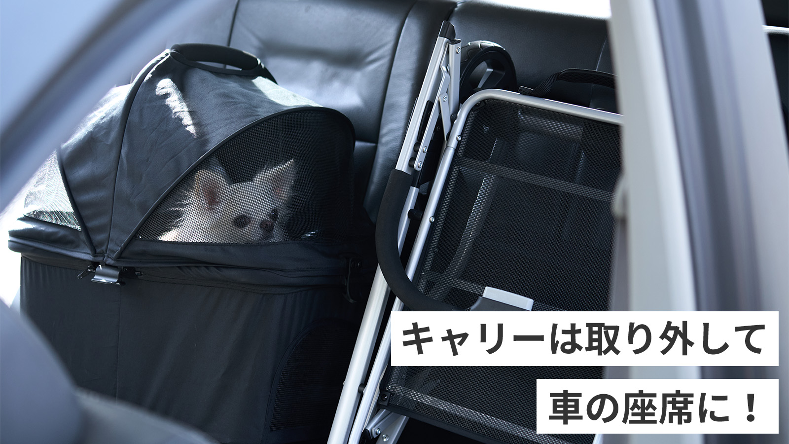 キャリーは取り外して車の座席に！