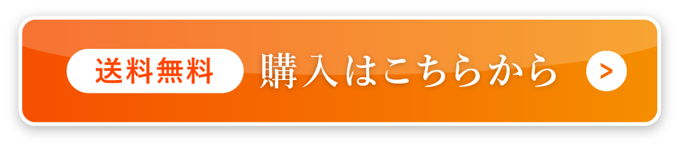 ＜送料無料＞購入はこちらから