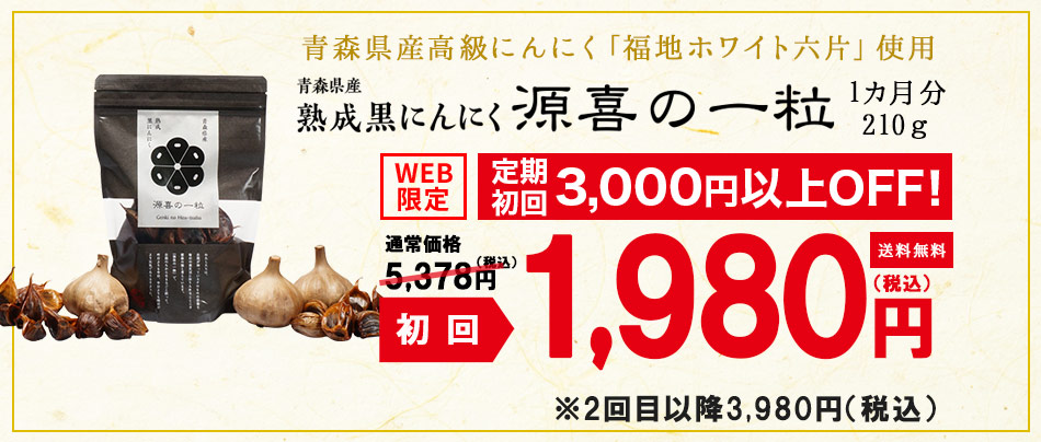 定期初回1980円