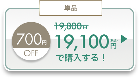 単品19,100円