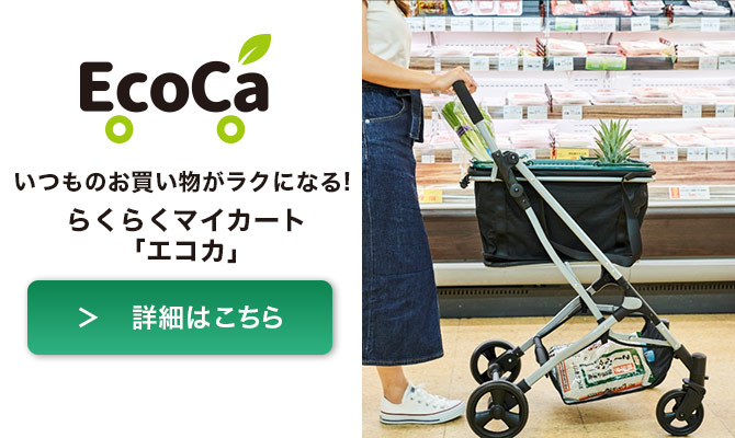 エコカ　詳細はこちら
