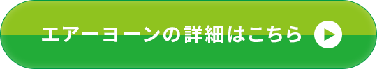 エアーヨーンの詳細はこちら
