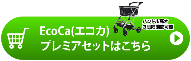 ✨️値引き可能✨️EcoCa 保冷バッグ付属　新品未使用　母の日 ✨️値引き可能✨️EcoCa 保冷バッグ付属 新品未使用 母の日 【公式通販】