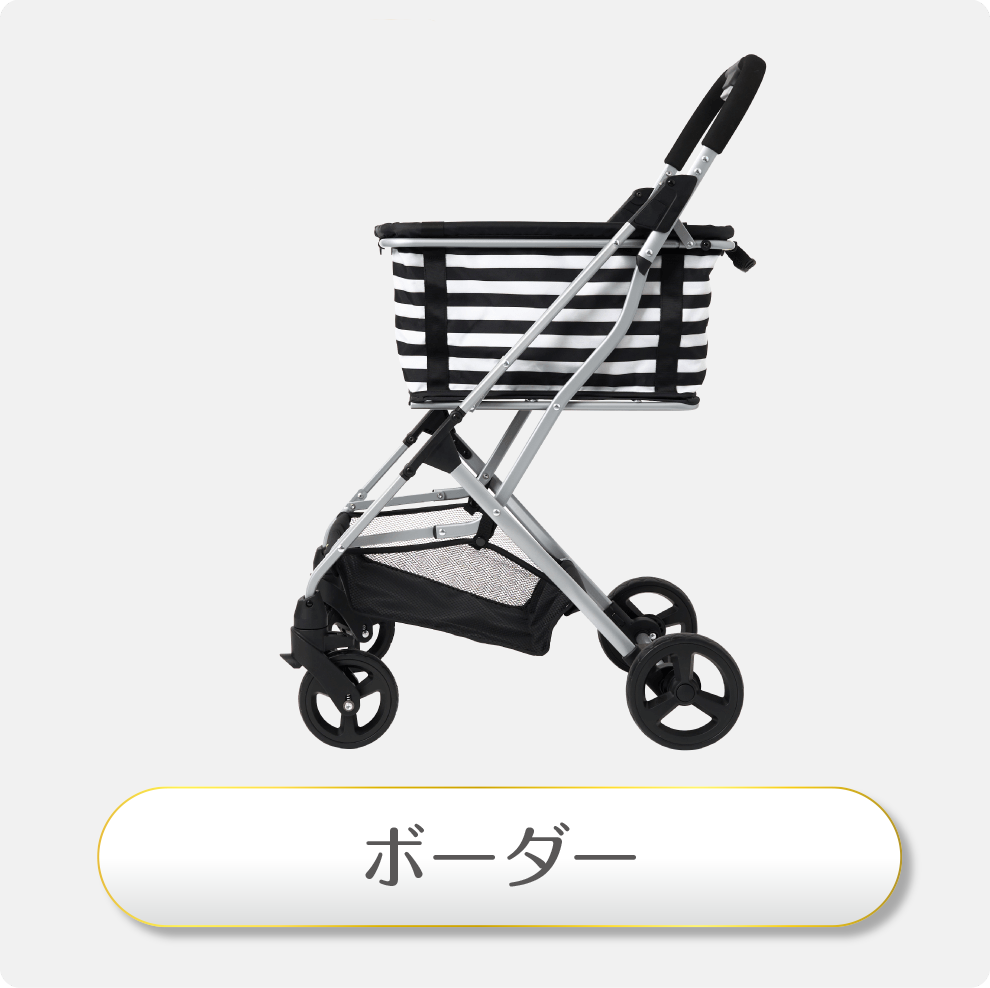 ✨️値引き可能✨️EcoCa 保冷バッグ付属　新品未使用　母の日 ✨️値引き可能✨️EcoCa 保冷バッグ付属 新品未使用 母の日