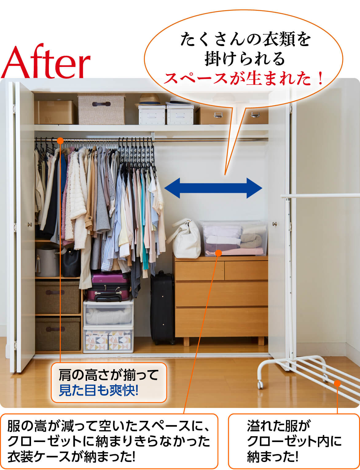 ハリウッドクローゼット | 株式会社プライムダイレクト ハリウッドクローゼット ハンガーセット