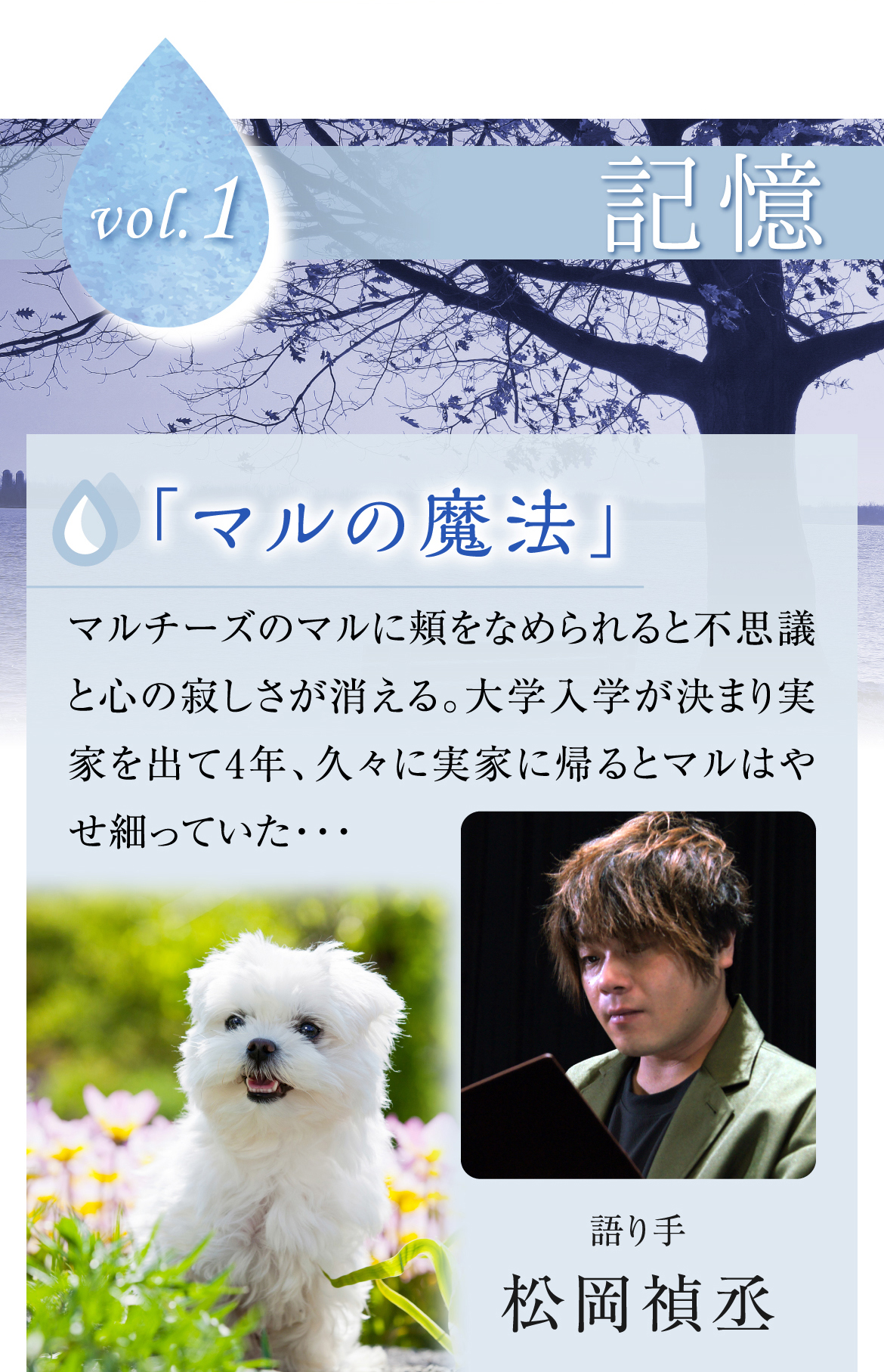 なみこぼ 涙がこぼれる20の物語 DVDボックス ｜ 株式会社プライムダイレクト