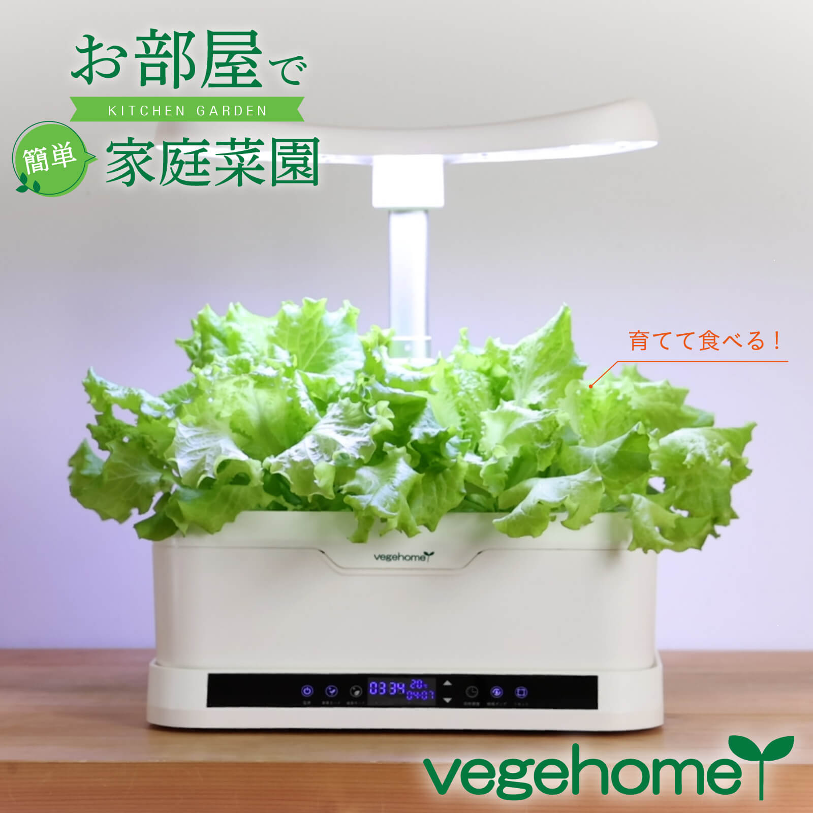 Amazon.co.jp : 野菜乾燥網 水耕植物のための水耕植物のための水