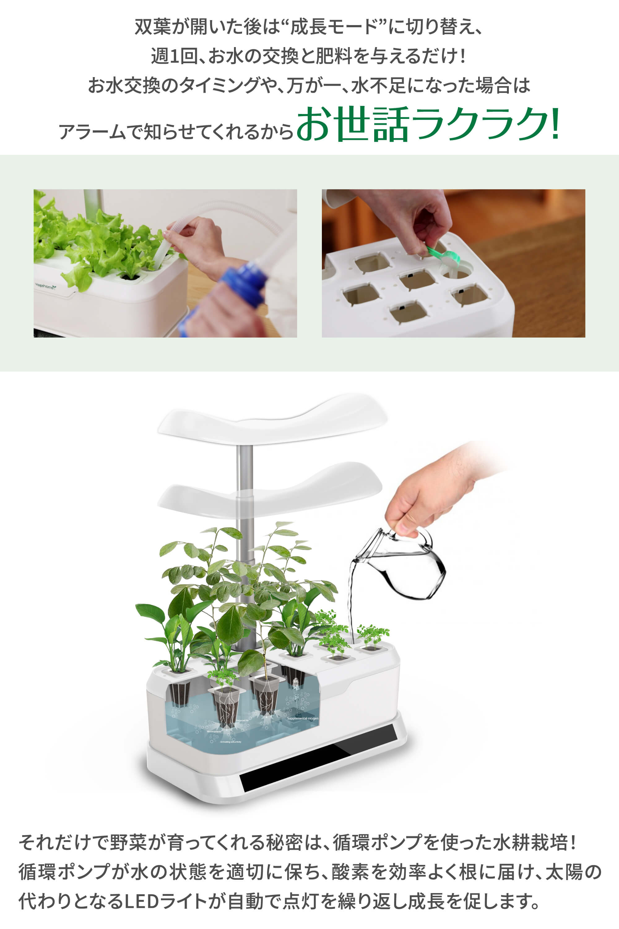 お部屋で簡単家庭菜園 ベジホーム | TVショッピング | プライム