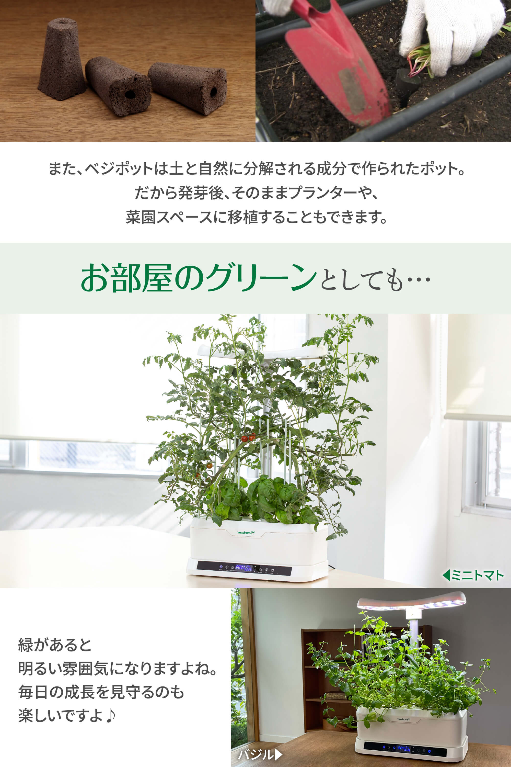 お部屋で簡単家庭菜園 ベジホーム | TVショッピング | プライム