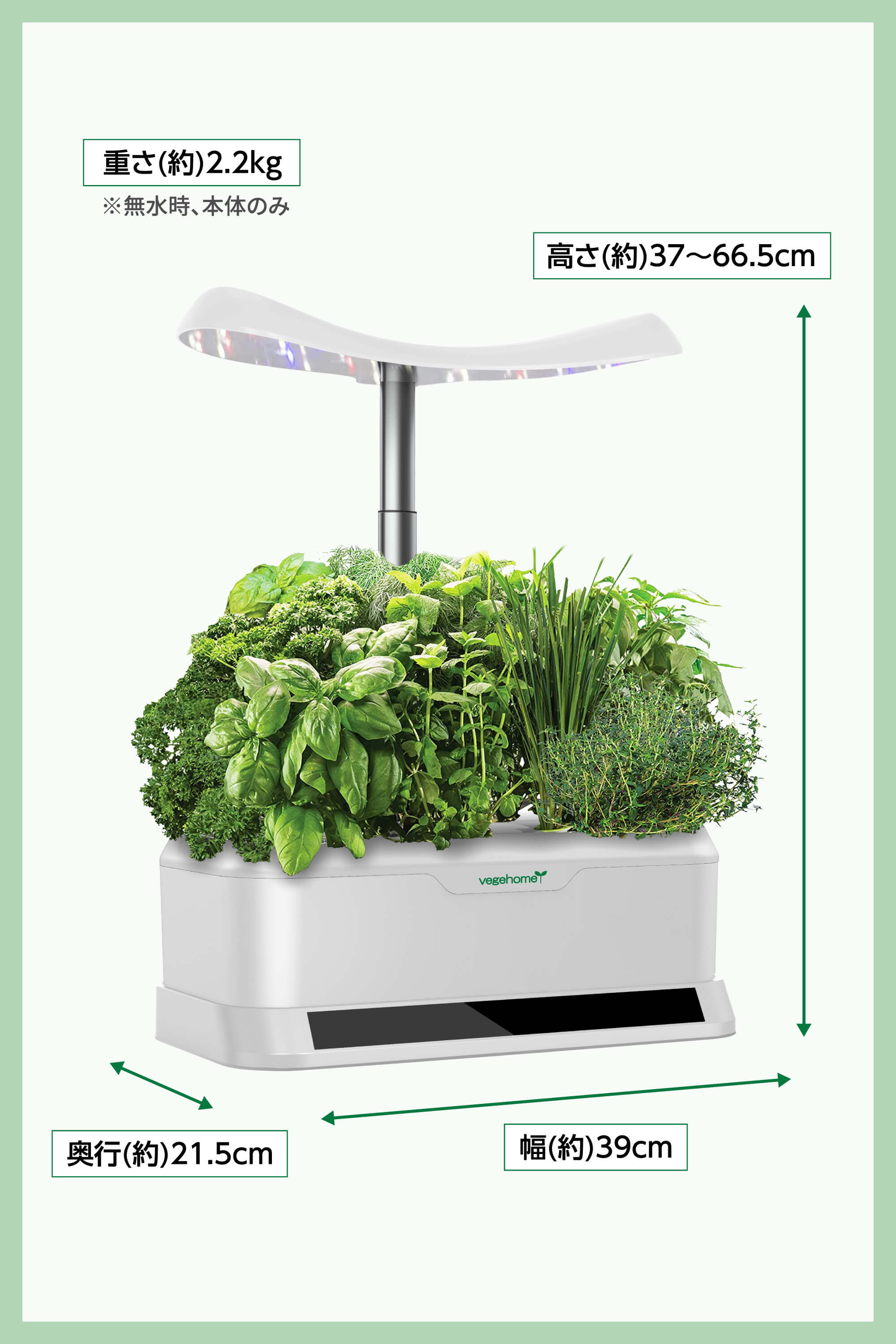 Amazon.co.jp : 野菜乾燥網 水耕植物のための水耕植物のための水